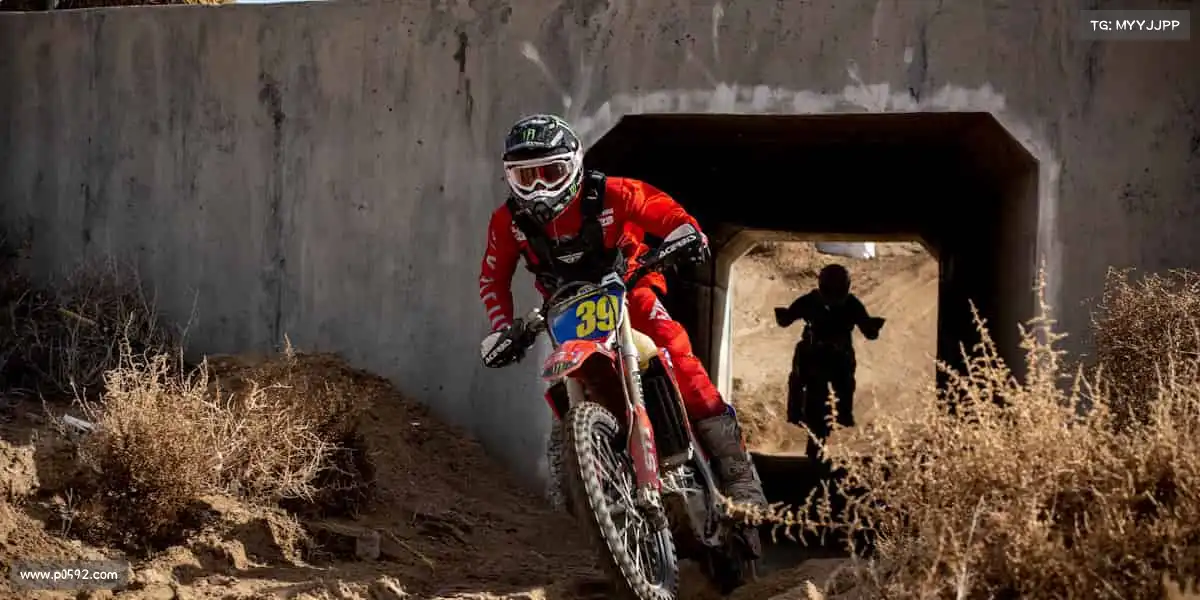 3200威尼斯vip——专业赋能运动,陪你闪耀每一场!🏆